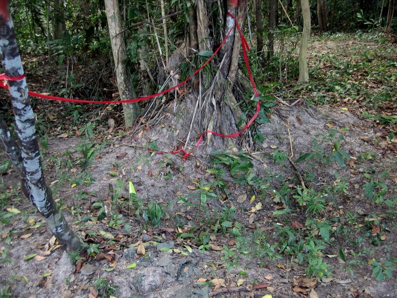 Kohtang Viet Nam Joint POW MIA Command Dig at Koh Tang